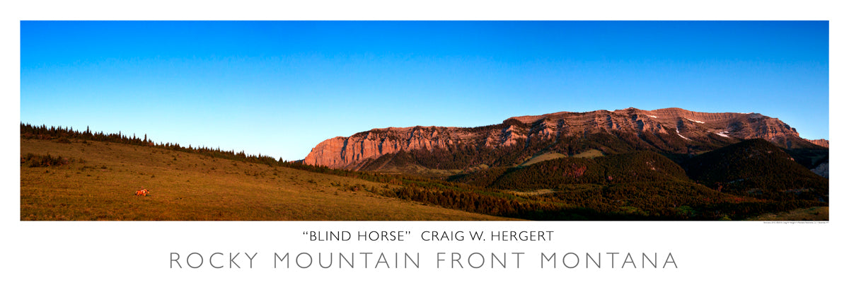 "Blind Horse" - Rocky Mountain Front - Choteau,  MT - POSTER