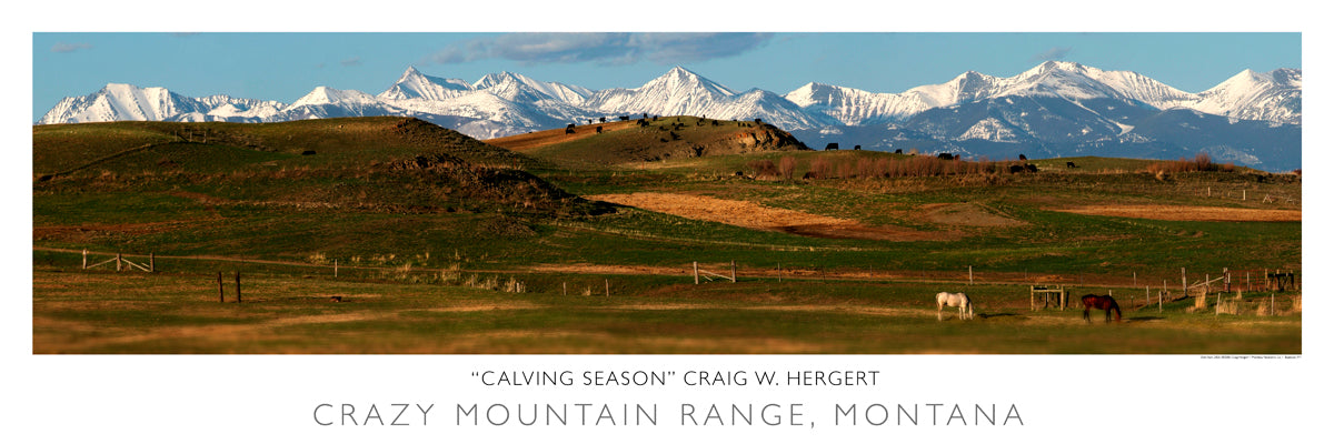 "Calving Season" - Crazy Mountain Range- Wilsall/Clyde Park, MT - POSTER