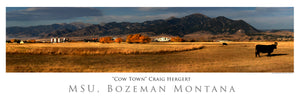 "Cow Town" - MSU - Bozeman, MT - POSTER