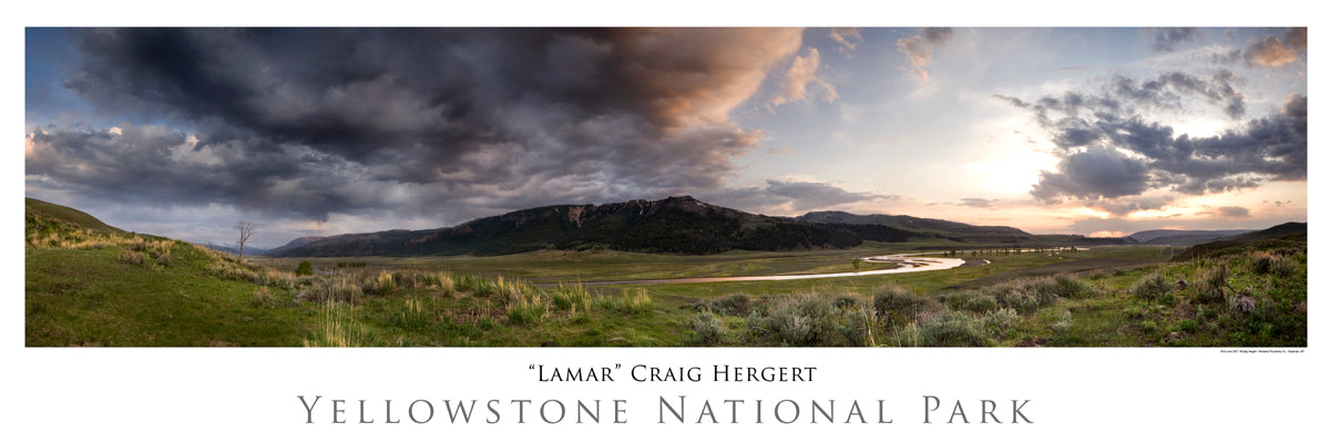 "Lamar" - Yellowstone National Park, WY - POSTER