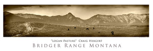 "Logan Pasture" - Logan, Belgrade MT - POSTER