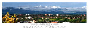 "Valley of Flowers" - Bozeman, MT - POSTER