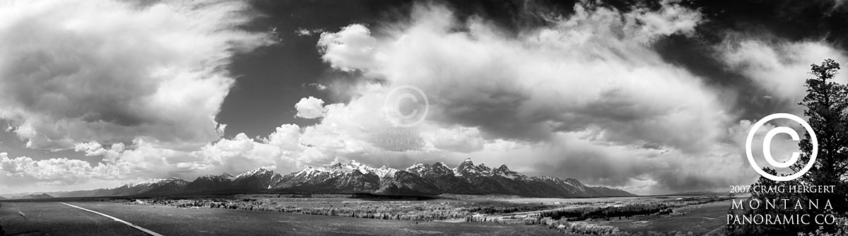 "Blacktail View" - Grand Teton N.P., MT (OE)