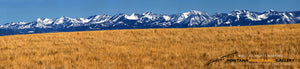 "Crazy Afternoon" - Livingston, MT (OE)