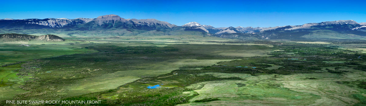 "Pine Butte Swamp Aerial" - Choteau, MT (OE)