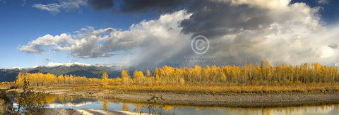 "Yellow Cloud" - Kalispell, MT (OE)