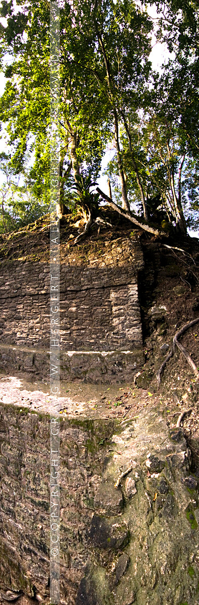 "Cahal v2" - Belize (OE)