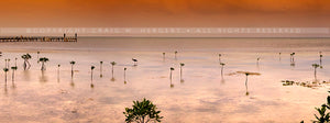 "CRW 4278" - Belize (OE)