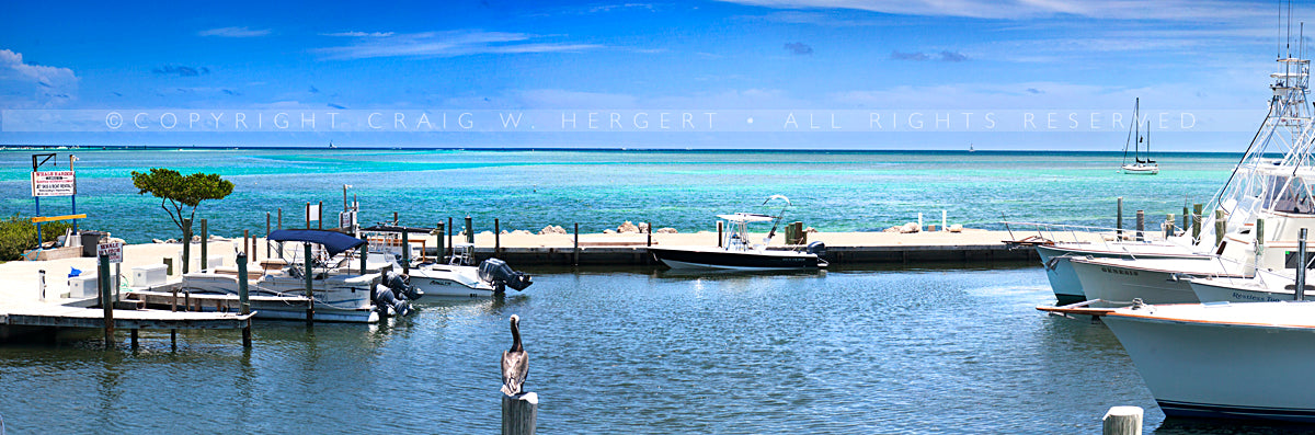 "MG 8148" - Florida (OE)