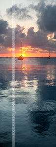 "MG 8175" - Florida (OE)
