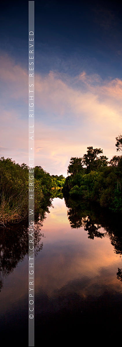 "MG 8901" - Florida (OE)