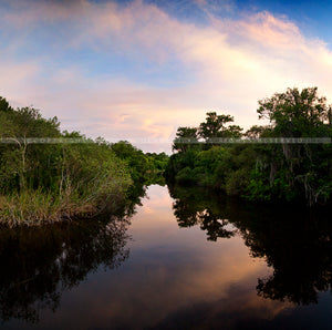 "MG 8903" - Florida (OE)