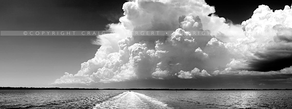 "MG 7333" - Florida (OE)