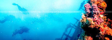 "Eagle Wreck" - Florida (OE)
