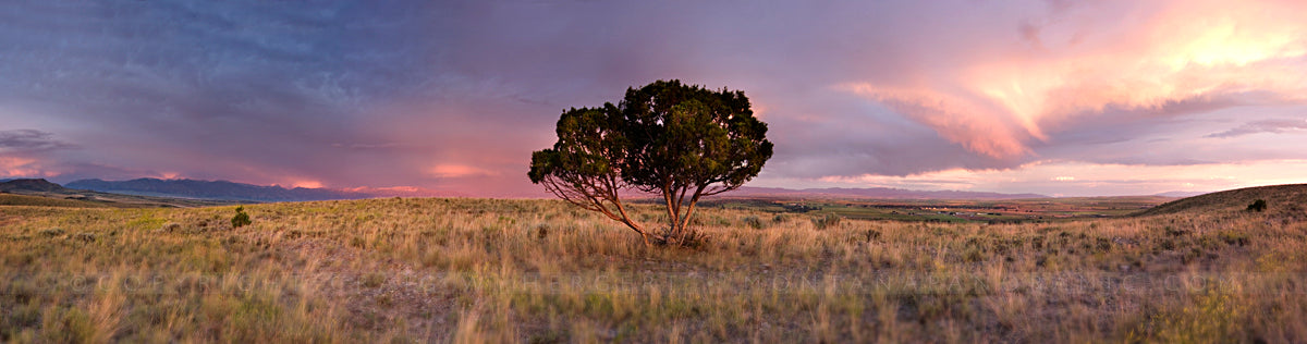 "In the Middle" - Manhattan, MT