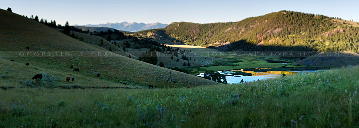 "Elk Lake Pasture" - Montana (OE)