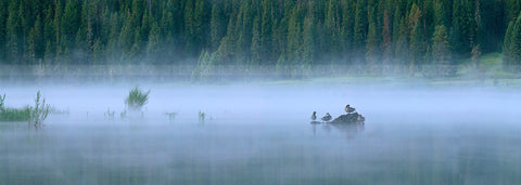 "Sleeping Rock" - Hyalite Lake, Montana (OE)
