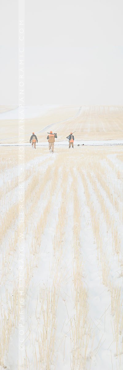 "Stubble Walk" - Lewistown, MT (OE)