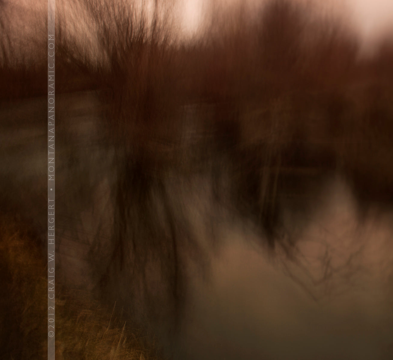 "MG 3656" - Impressions (OE)