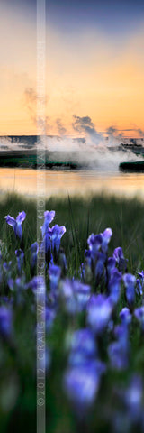 "Firehole" - Yellowstone N.P., MT
