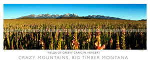 "Fields of Green" - Big Timber, MT - POSTER