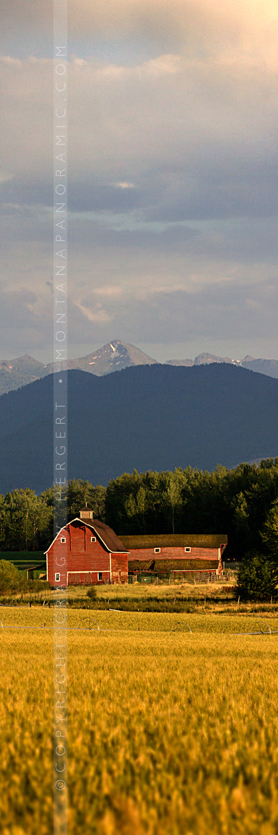 "Woodlands Barn #1" - Bozeman, Montana (OE)