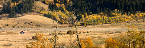 "Fall Overlook" - Gallatin Gateway, MT (OE)