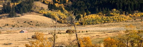 "Fall Overlook" - Gallatin Gateway, MT (OE)