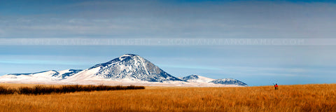 "Collection #8246" - Sweetgrass Hills (OE)