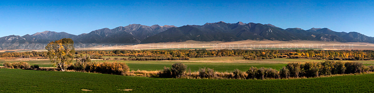 "MG 8185" - Silver Star, Montana (OE)