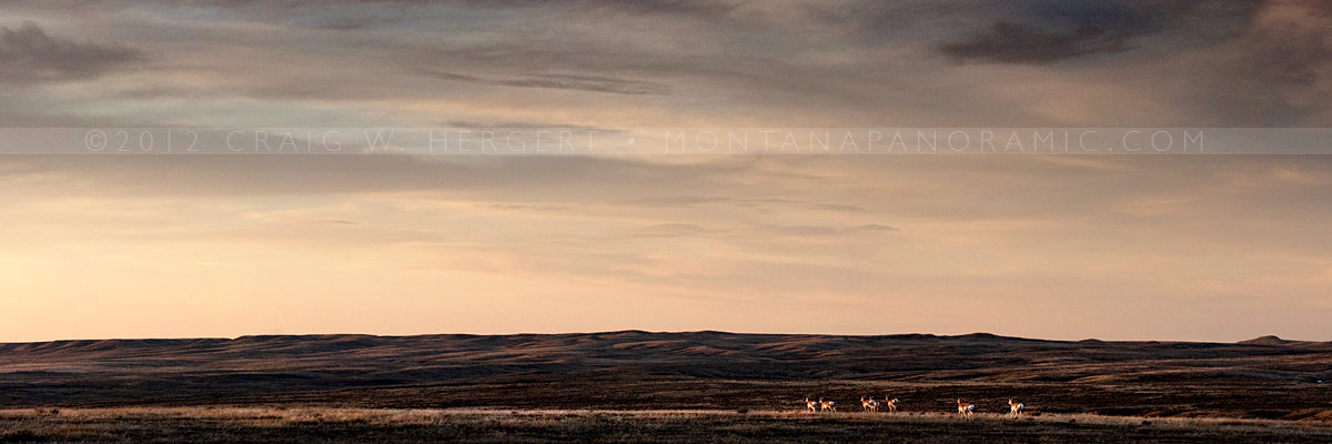 "IMG 9310" - CM Russell National Wildlife Refuge (OE)