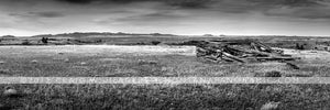 "IMG 9122" - CM Russell National Wildlife Refuge (OE)