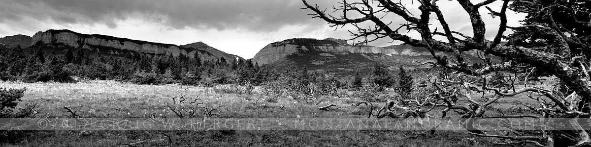 "MG 6045" - Blackleaf, MT (OE)
