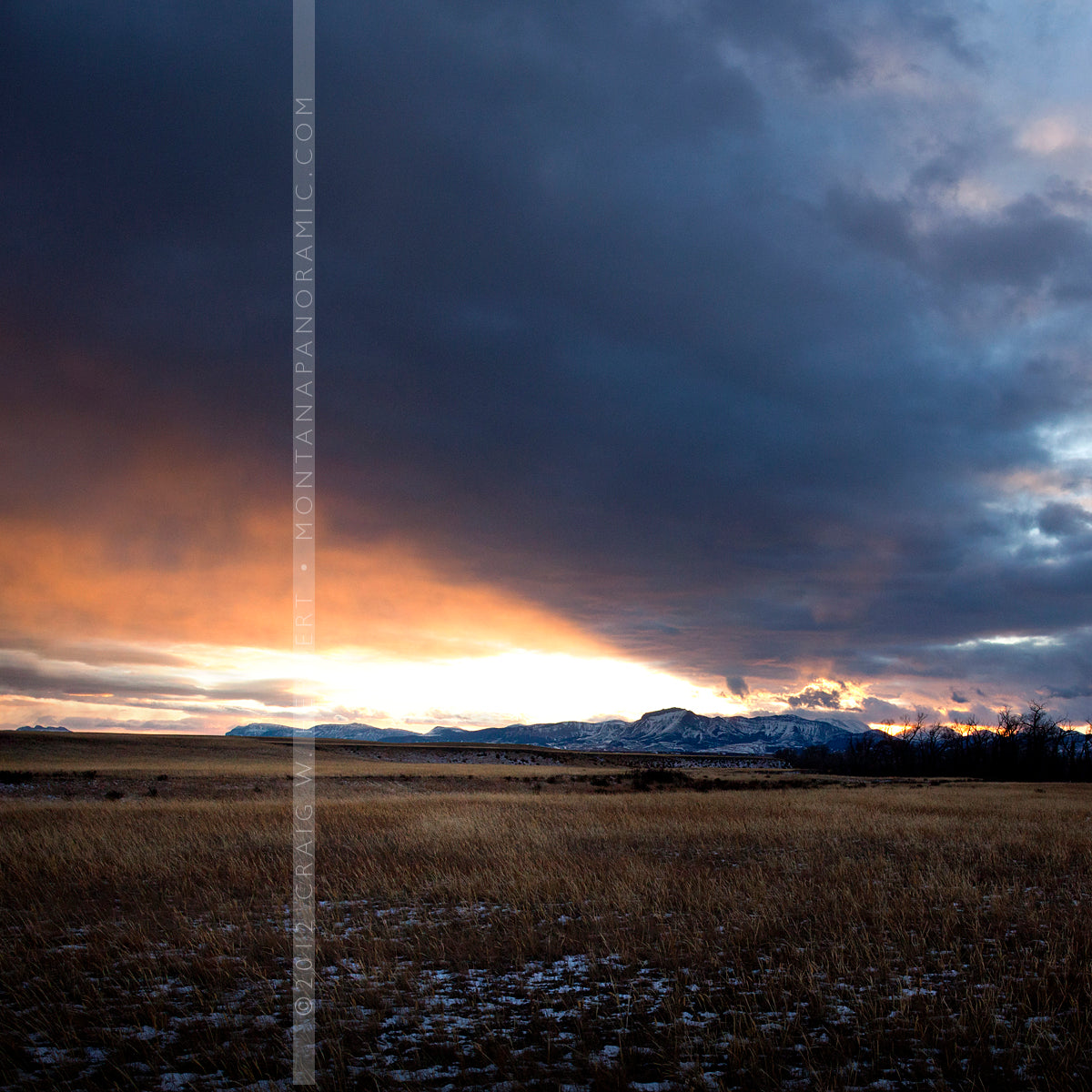 "MG 8203" - Choteau, MT (OE)
