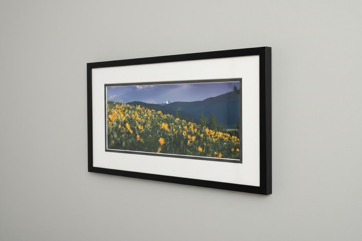 "Blackmore Spring" - Bozeman, MT
