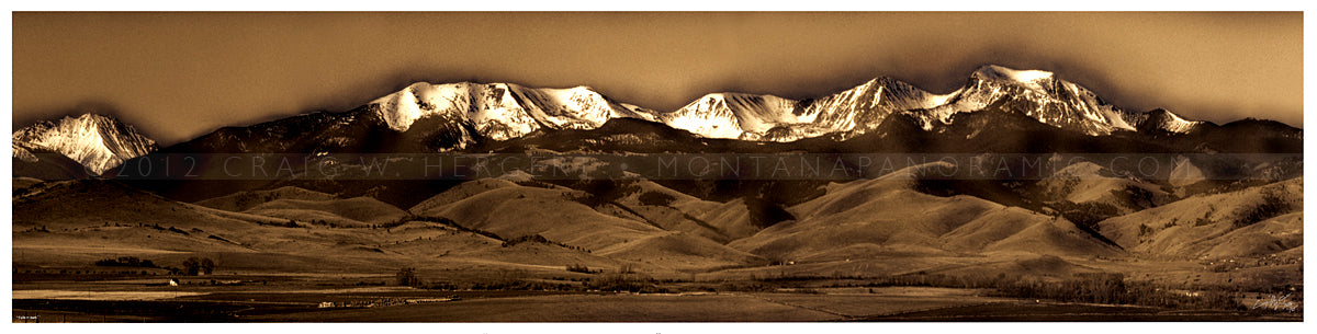 "Tobacco Roots" 32"x8" limited edition canvas print