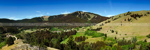 "Summer at Marysville" Great Divide, Helena (OE)