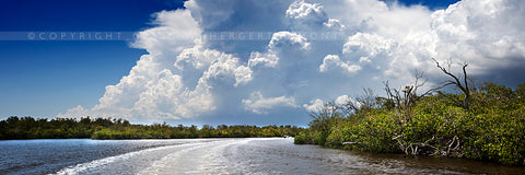 "The Everglades Backwaters" - Florida (OE)