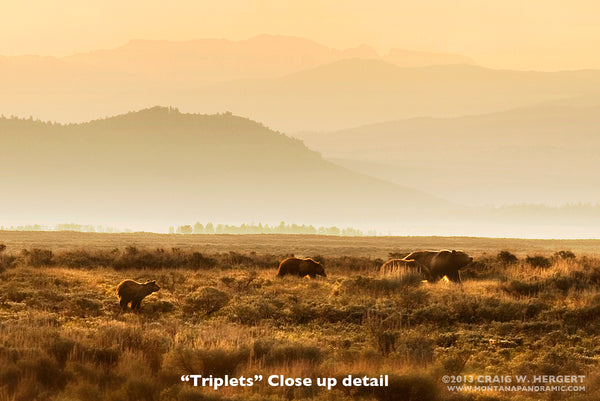 "Triplets" - Grand Teton N.P., MT