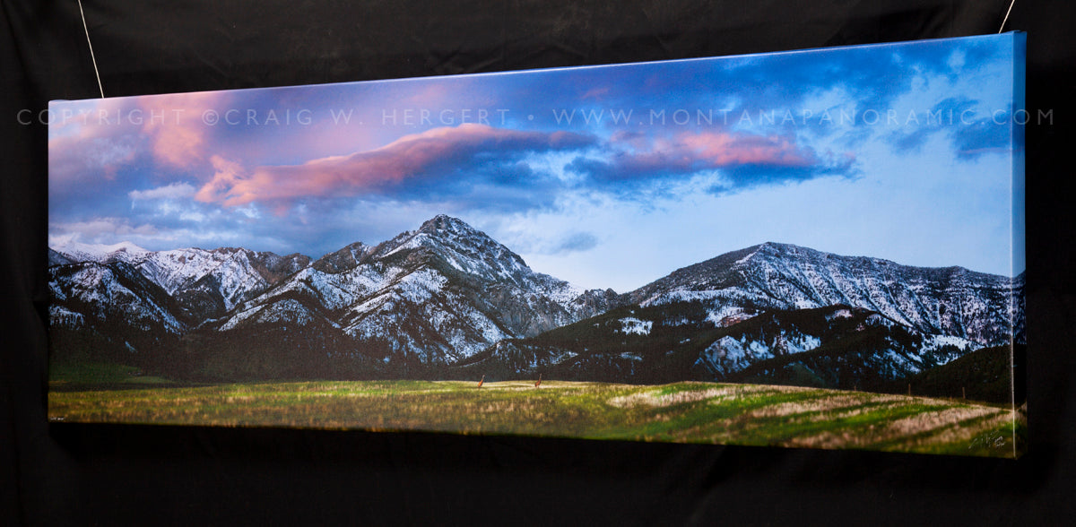 "Line Dance" -72"x24" Limited Edition of 75 - framed gallery wrap