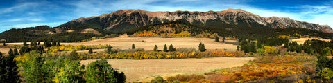"Fall Pasture" - Bridger Canyon, MT