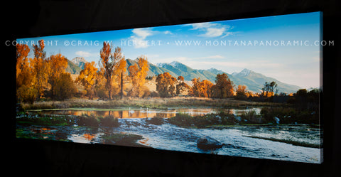 "3 Swans" -XL 90" x 30" Limited edition framed thick gallery wrap