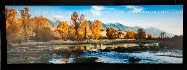 "3 Swans" -XL 90" x 30" Limited edition framed thick gallery wrap