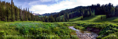 "Middle Fork of the Gallatin" Big Sky, MT