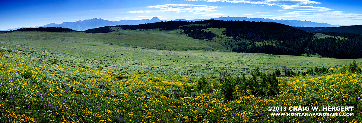 "Collection #5107" - Madison Valley, MT (OE)