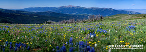 "Collection #5252" - Gravelly Range, MT (OE)