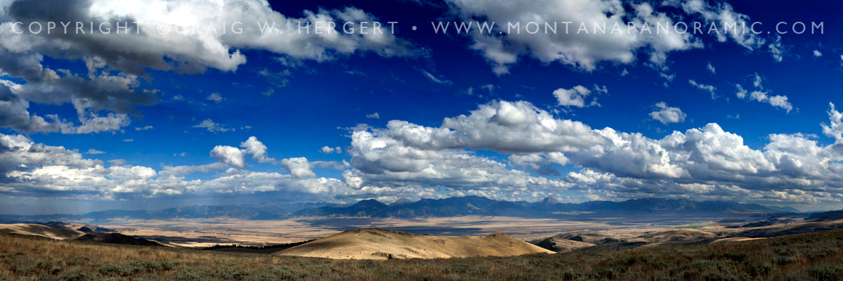 "Collection #1195" - Madison Valley, MT (OE)