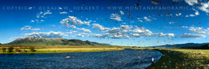 "Mothers Day Caddis Hatch" - Ennis, MT (OE)
