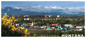 "Valley of Flowers" - Bozeman - POSTCARD
