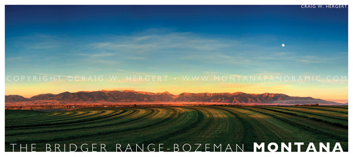 "Third Cutting" - Bozeman - POSTCARD